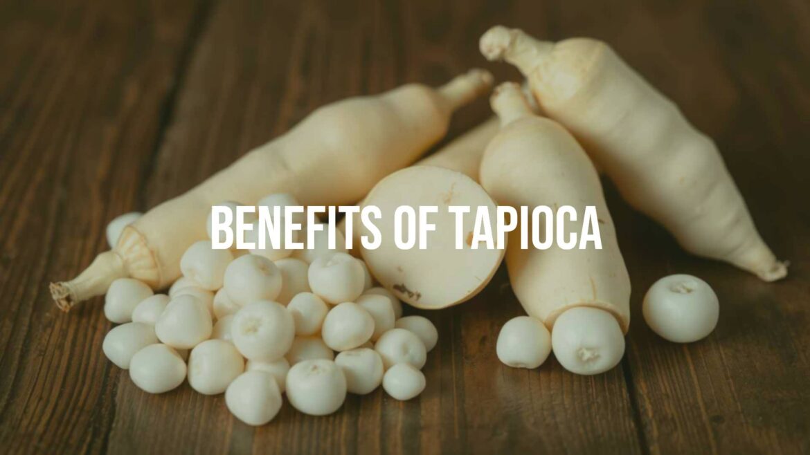 Cassava roots and tapioca pearls on a wooden table, fresh and natural, healthy food theme, soft lighting, realistic.